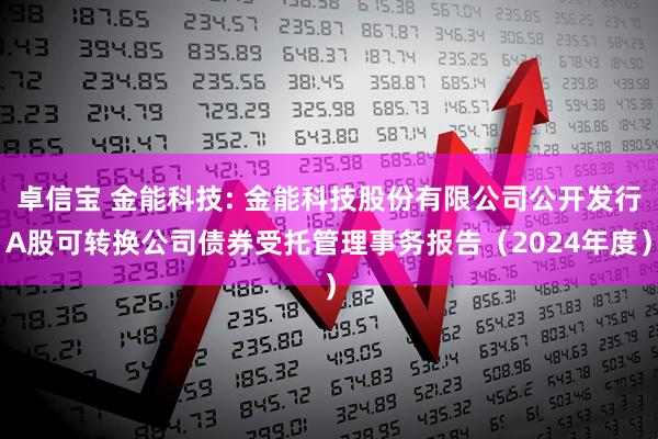 卓信宝 金能科技: 金能科技股份有限公司公开发行A股可转换公司债券受托管理事务报告（2024年度）