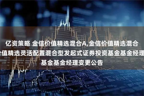 亿资策略 金信价值精选混合A,金信价值精选混合C: 金信价值精选灵活配置混合型发起式证券投资基金基金经理变更公告