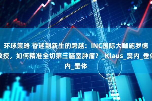 环球策略 昏迷到新生的跨越：INC国际大咖施罗德教授，如何精准全切第三脑室肿瘤？_Klaus_窦内_垂体
