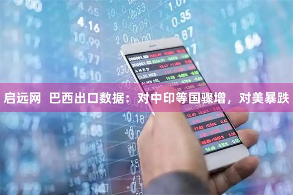启远网  巴西出口数据：对中印等国骤增，对美暴跌