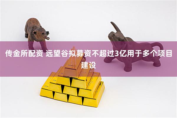 传金所配资 远望谷拟募资不超过3亿用于多个项目建设