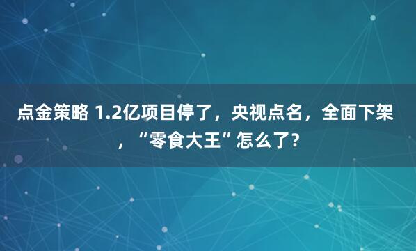 点金策略 1.2亿项目停了，央视点名，全面下架 ，“零食大王”怎么了？